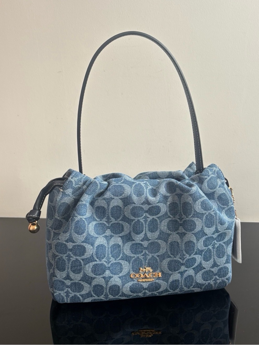 Coach Denim Signature Shoulder Bag in Blue